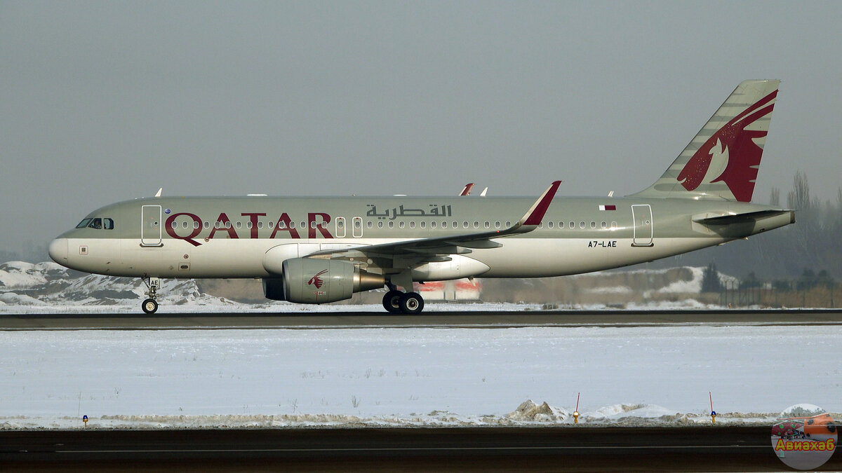 "Катарцы" на Airbus A320 - ежедневные гости. Ещё и грузовые широкофюзеляжники часто прилетают.