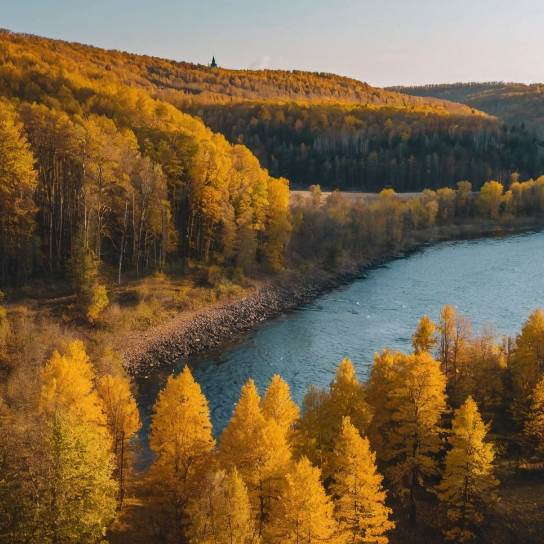 Прогулки на природе