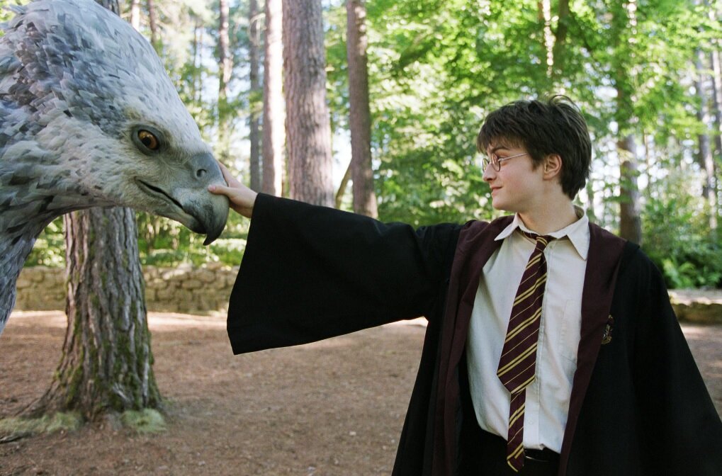       Кадр из фильма «Гарри Поттер и узник Азкабана» Фото: Warner Bros. Pictures