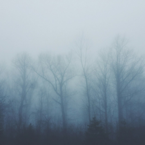 туман настигал