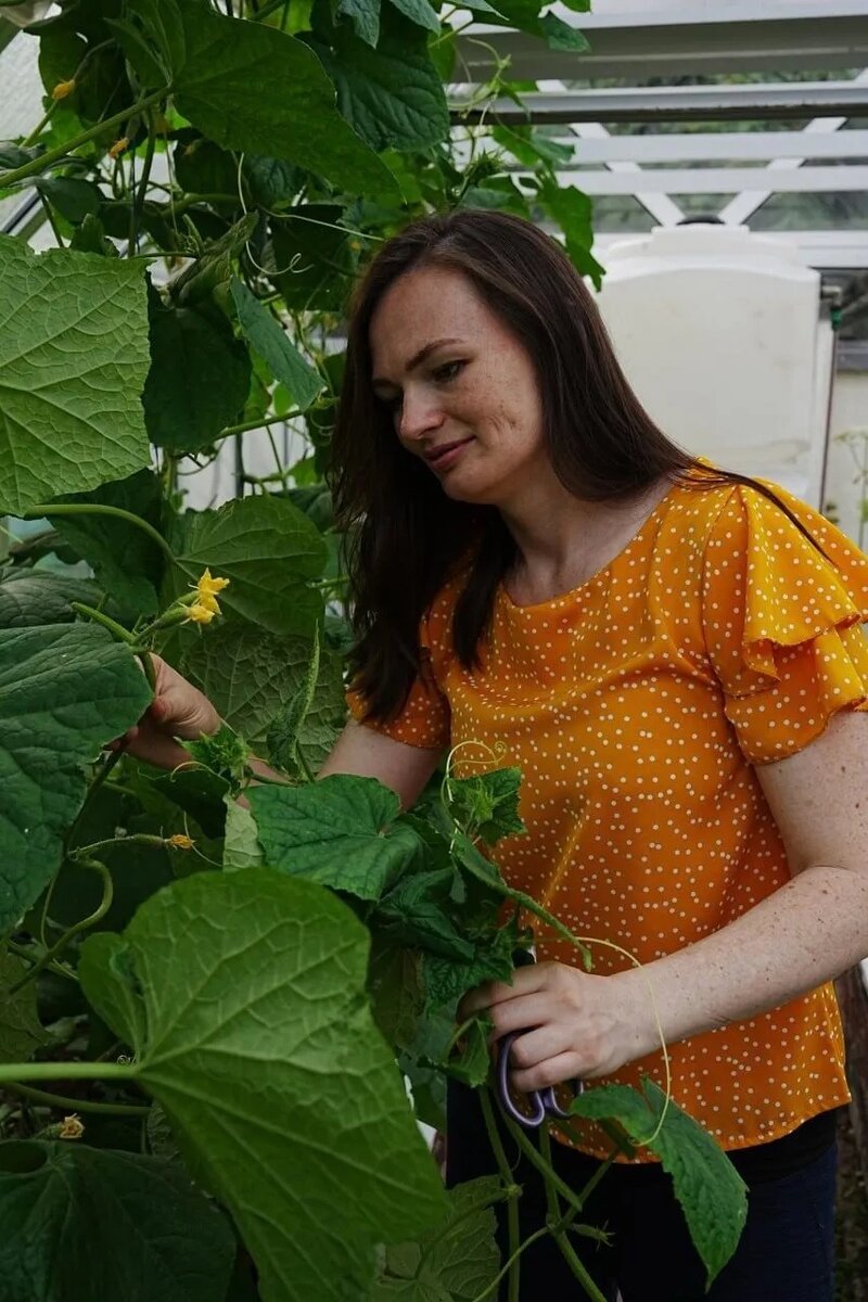 Дачный агроном