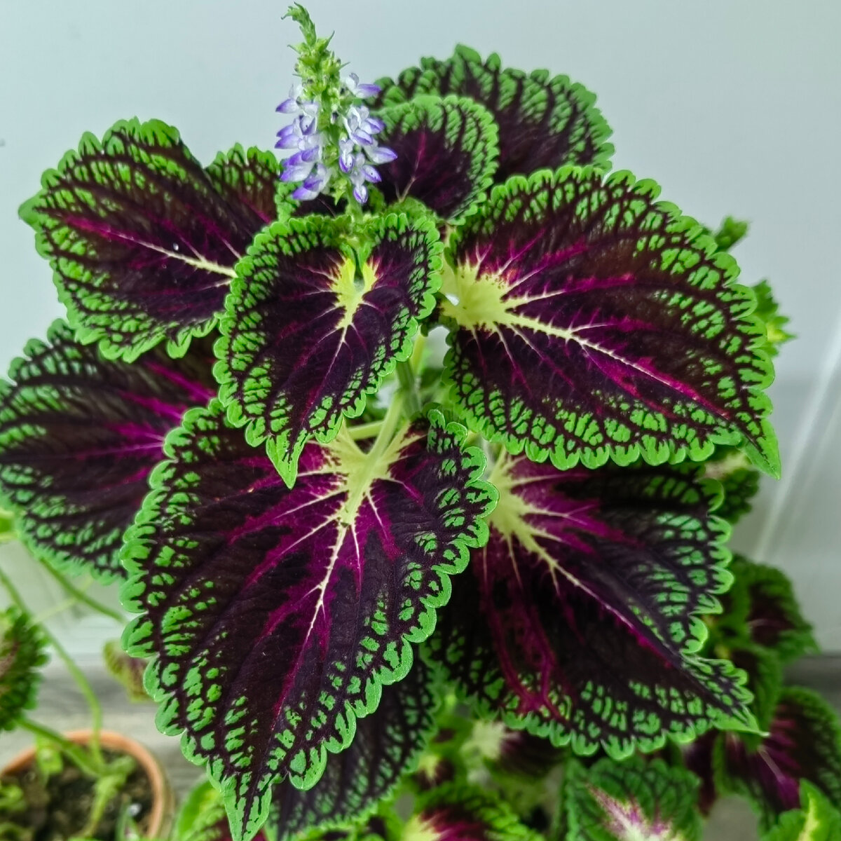 Таким был в ноябре. Фото автора