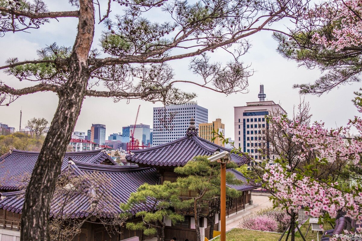 Фото из открытого источника. Красивые виды Сеула.