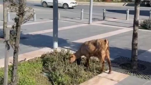 Мерхаба из Турции! Снял вам мини-влог.