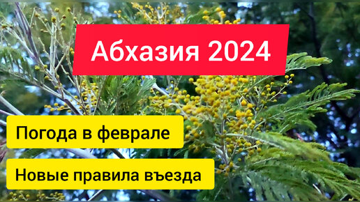 Новые правила въезда в абхазию 2024 году