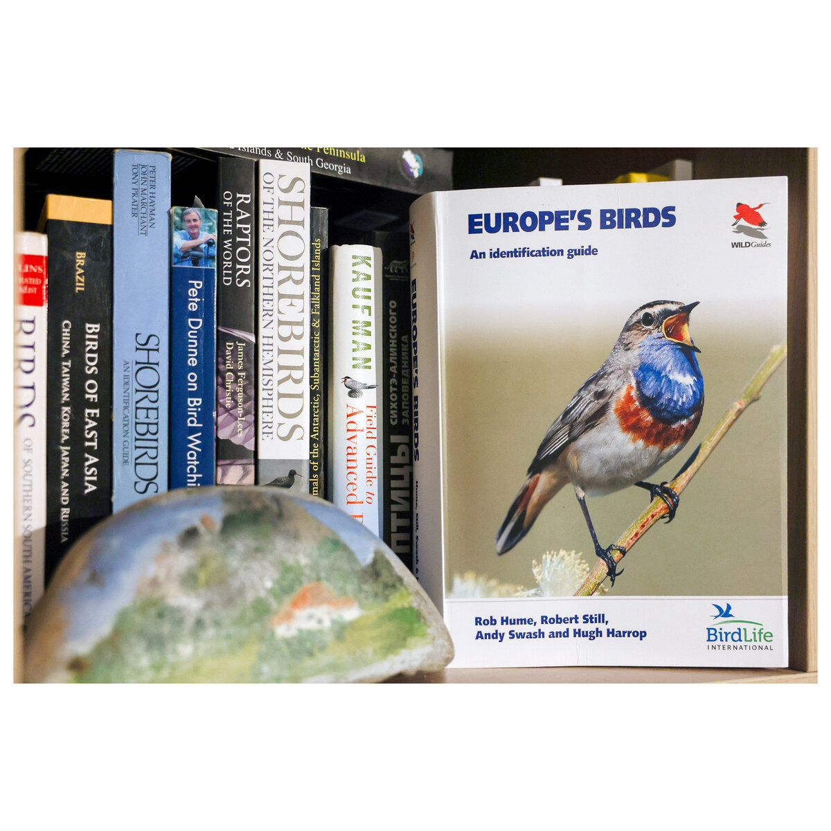Фотоопределитель  Europe`s Birds. An identification guide (2021)