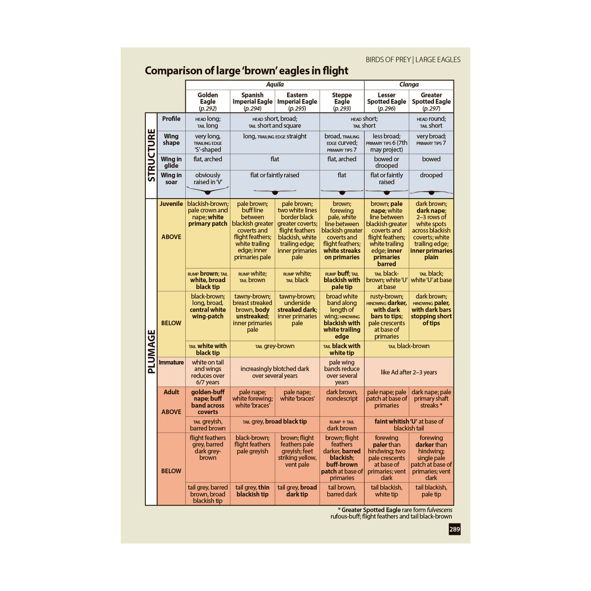 Сравнитедбная таблица отличительных признаков в полёте для крупныных орлов.