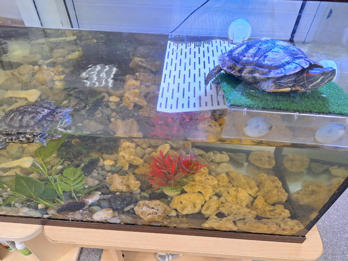 продолжи истории про. продолжи рассказ по началу. продолжить рассказ. продолжи историю. продолжи истории про.