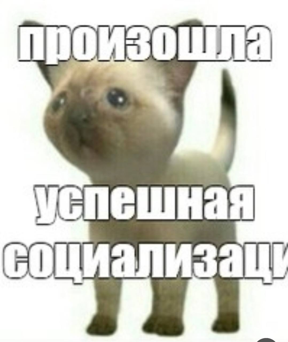 Откуда произошел мем обоюдно