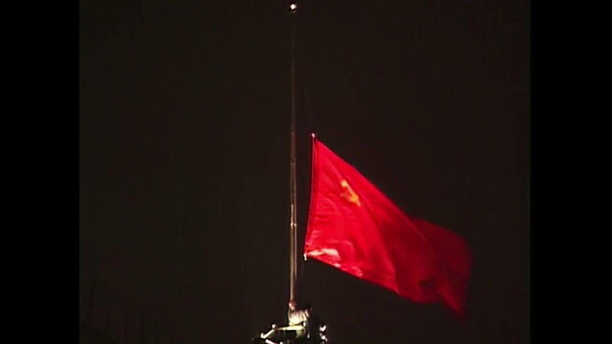 Здесь и далее все фото из яндекс картинки