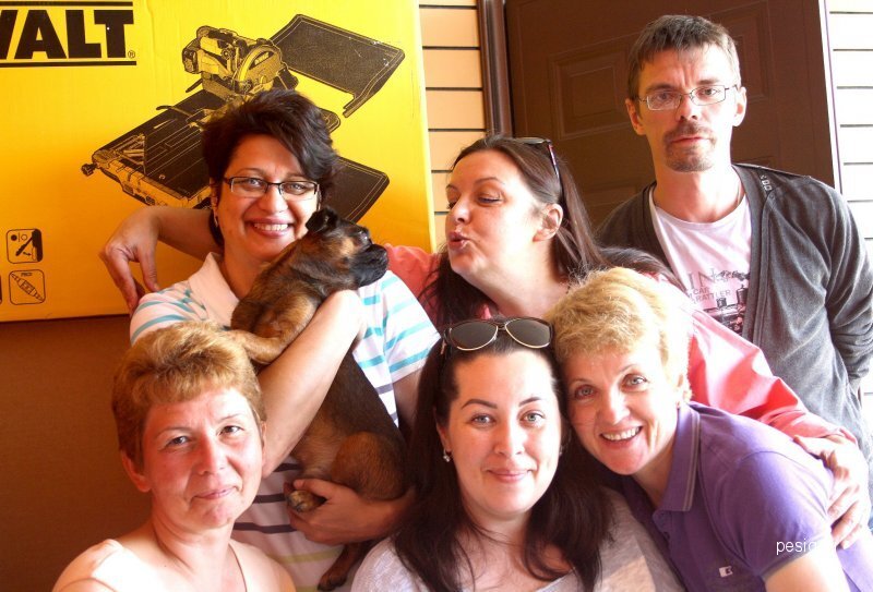 саймон пегг все могу. человек с собакой. мармадюк 2 фильм. где собаки говорят. сериал про говорящую собаку.