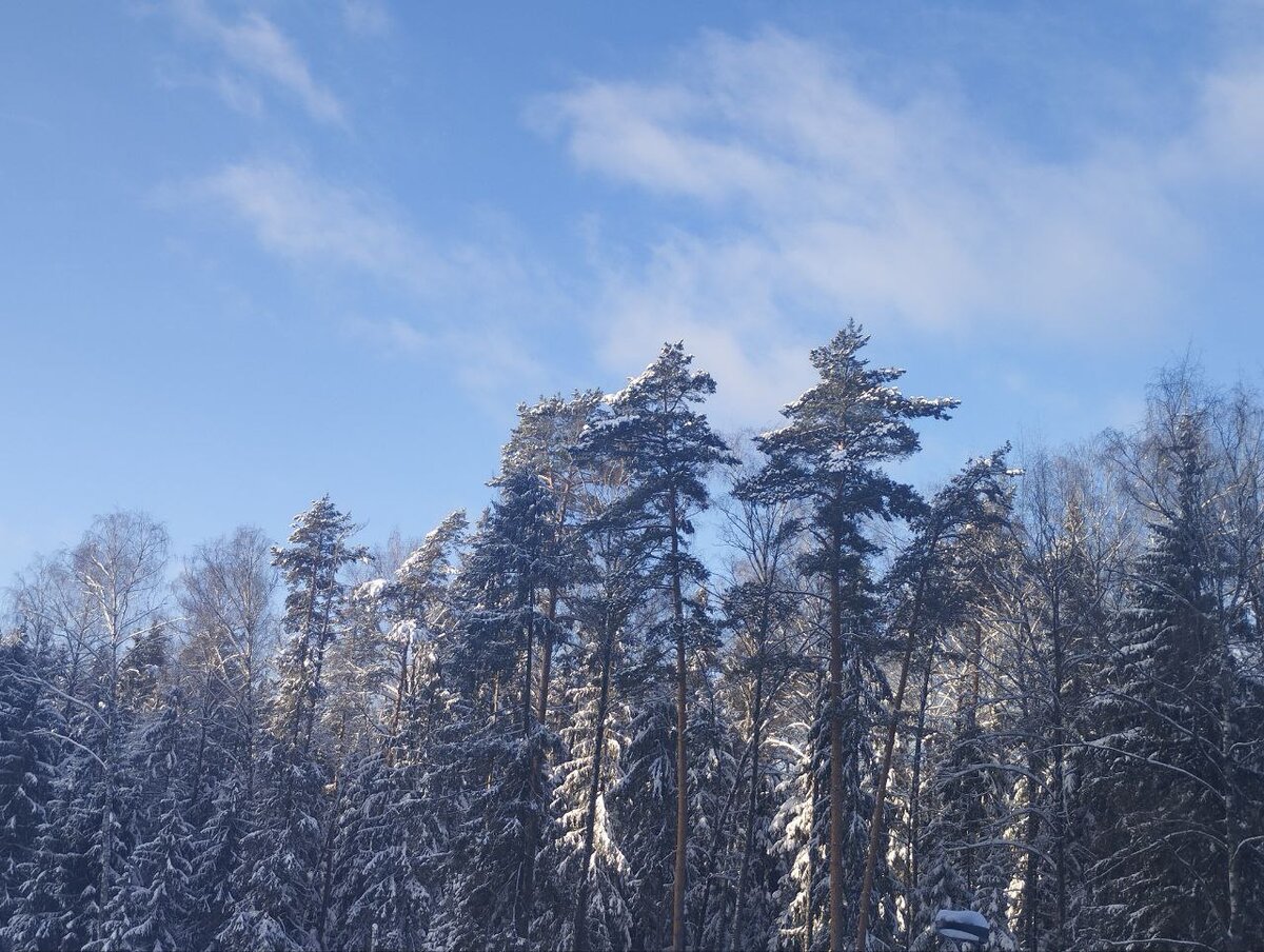 Солнечное утро
