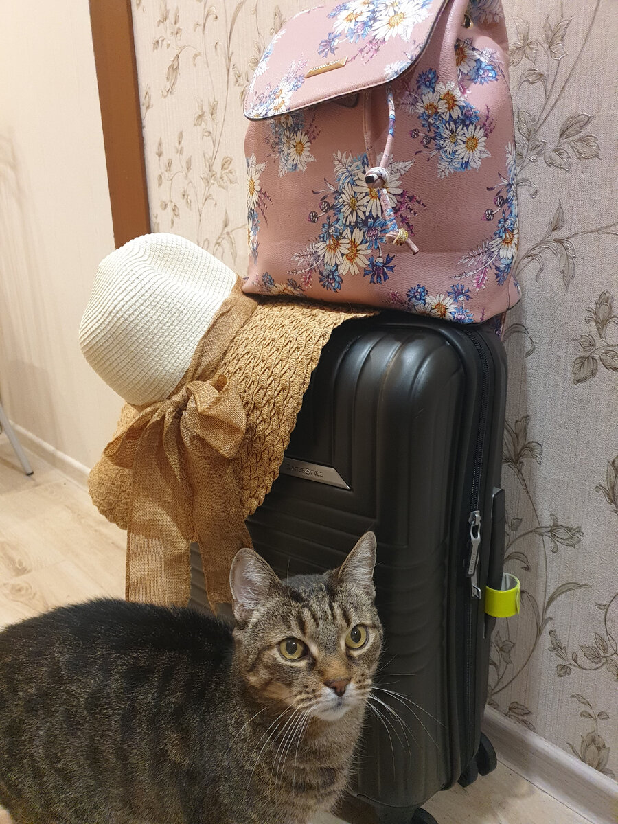 Виссарион Семенович тоже хочет лето))