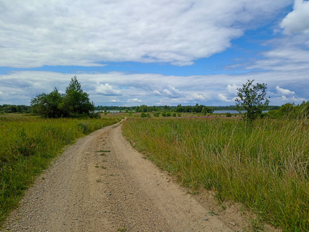 Грунтовая дорога