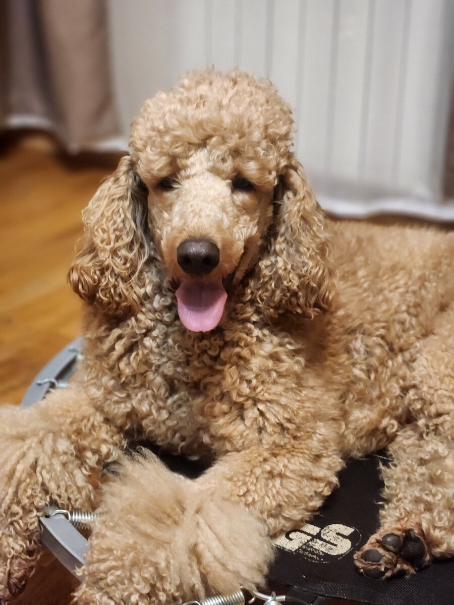 Фото: пресс-служба "Ozon" 