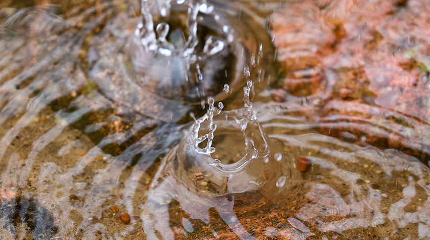    Фото из архива