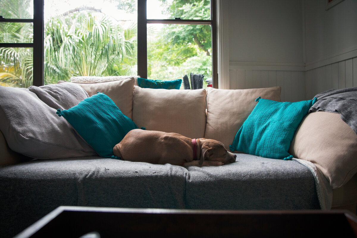 Редактировать галерею8 лучших диванов Moon