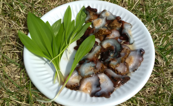 Вкусно пообедать на берегу
