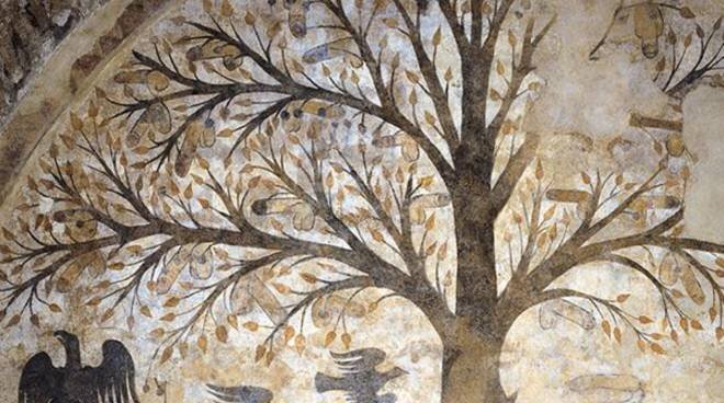 Сразу в лоб и с козырей. Присмотритесь, что растет на этом деревце. Ой не груши...