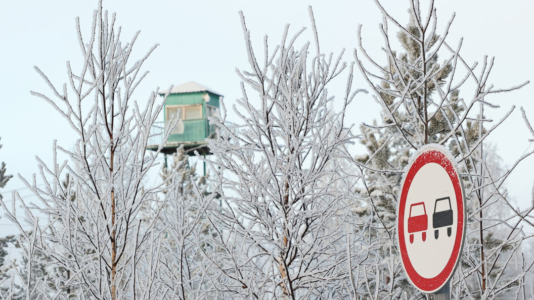    Фото: globallookpress.com