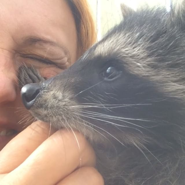 портрет пересказ кратко. допрос башкирца капитанская дочка. вопросы про капитанскую дочку с ответами. капитанская дочка краткое содержание. повесть о шемякином суде пересказ.