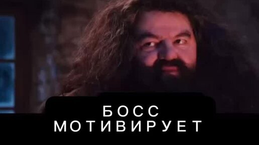 розы люксембург темрюк 18. розы люксембург 3 ульяновск. улица розы люксембург на карте. озон розы люксембург. улица розы люксембург ульяновск.