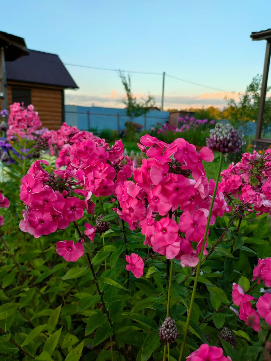 Подарок сестры мужа, цвет необыкновенный!