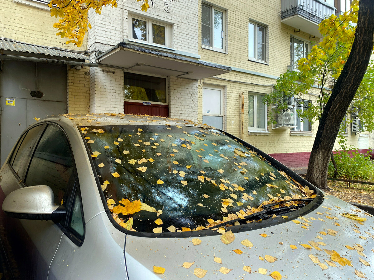 фото: Alexander Legky/Global Look Press