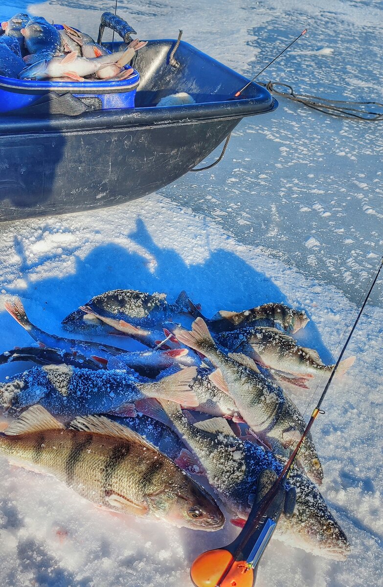 крутая рыбалка. фотосессия рыбалка. рыбак на рыбалке. красивые девушки на рыбалке. девушка со спиннингом.