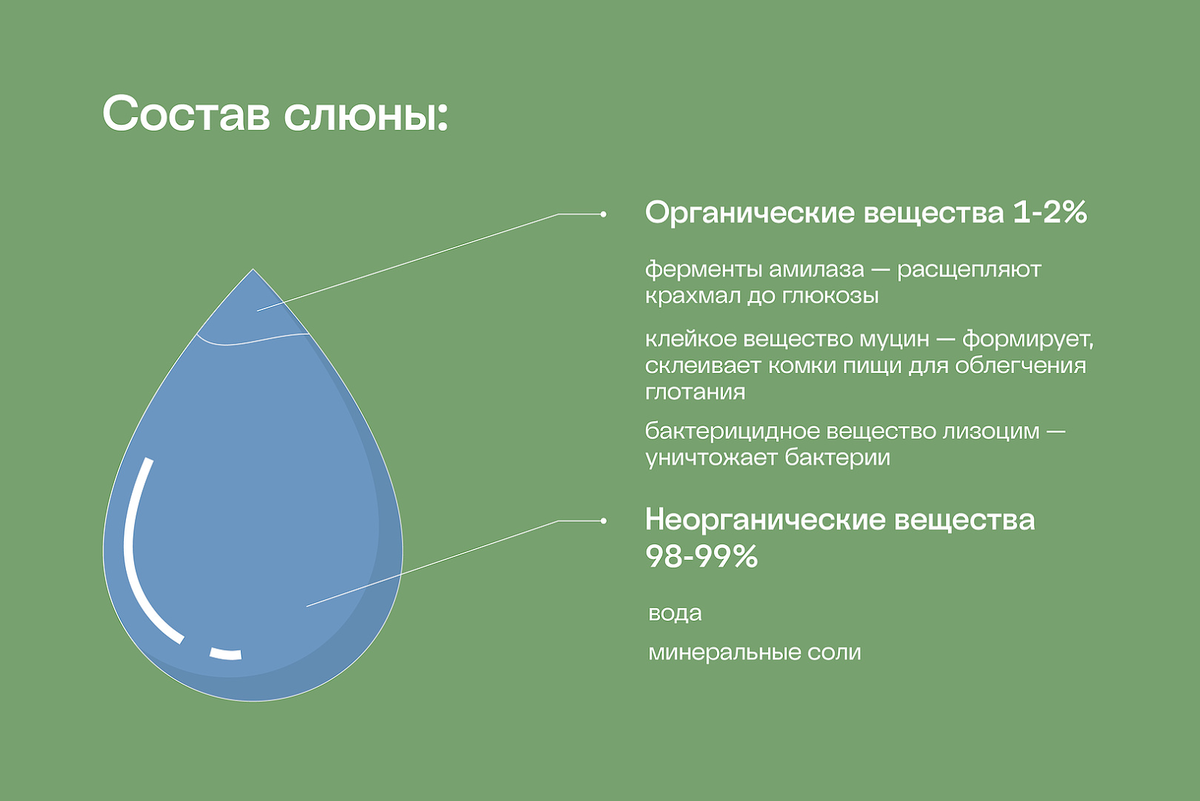 Вещества в составе слюны