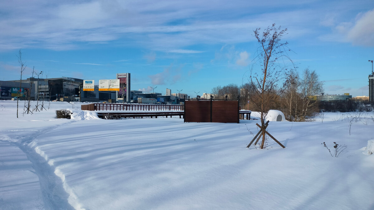 Городской парк, на северном берегу Строгинской поймы. | Гарри Лиманов | Дзен