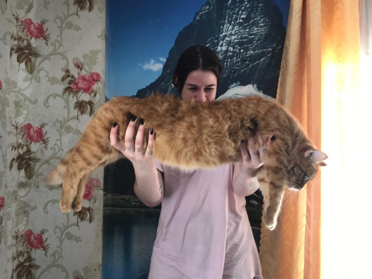 Рыжу еще нет года.