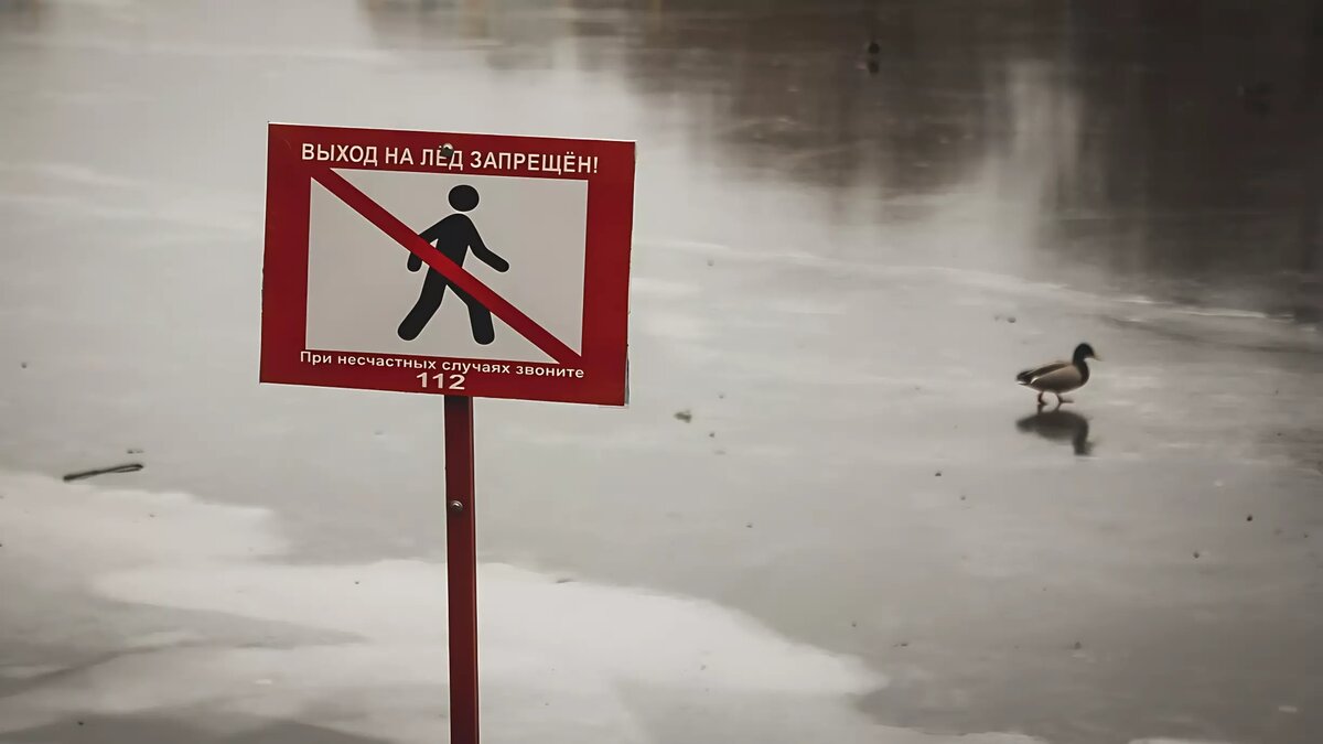     Лед уже не такой прочный, как в январе, но любителей рыбалки это не останавливает. Один из автомобилей провалился под лед.