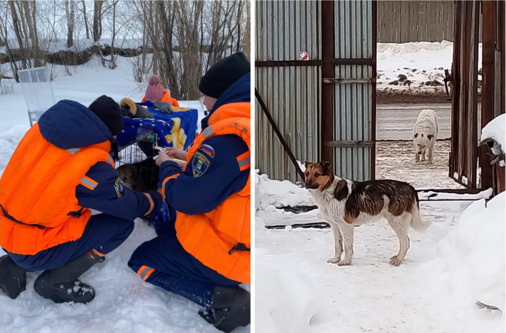 масса первого бруска в 3 раза больше