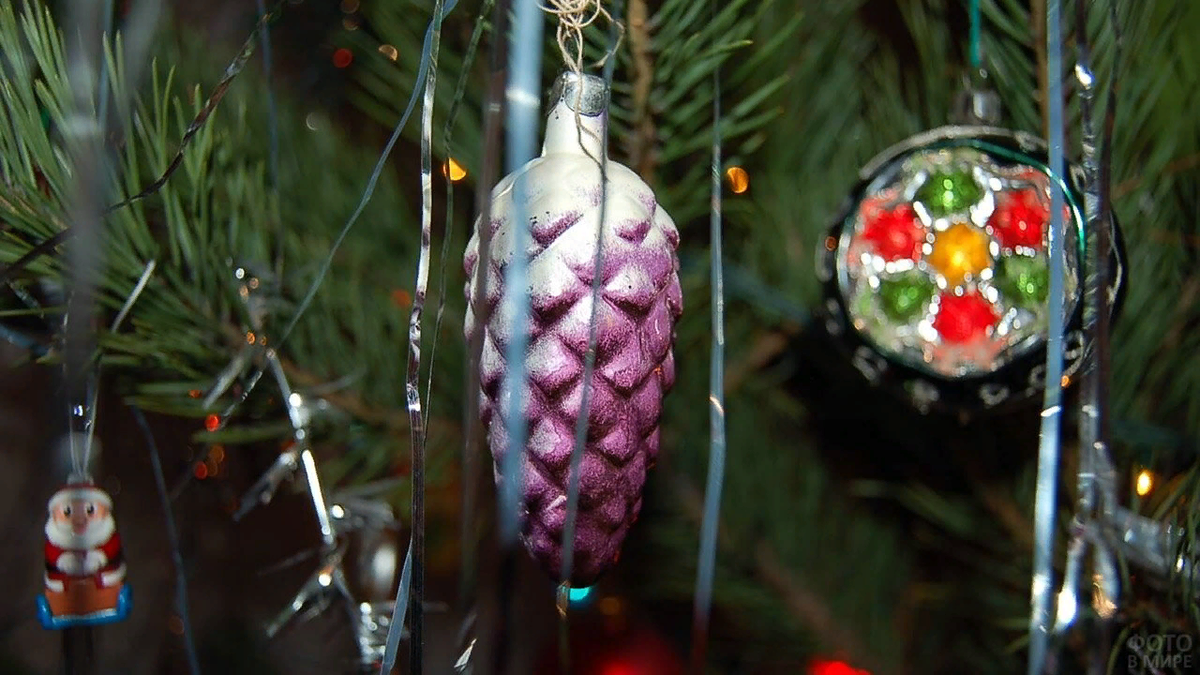 фото из интернета