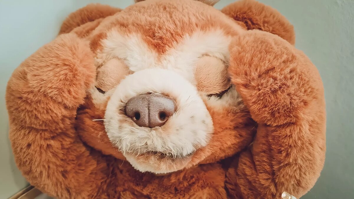     Роспотребнадзор по Хакасии рассказал, какие правила нужно соблюдать при выборе детских игрушек, чтобы не навредить юному потребителю.