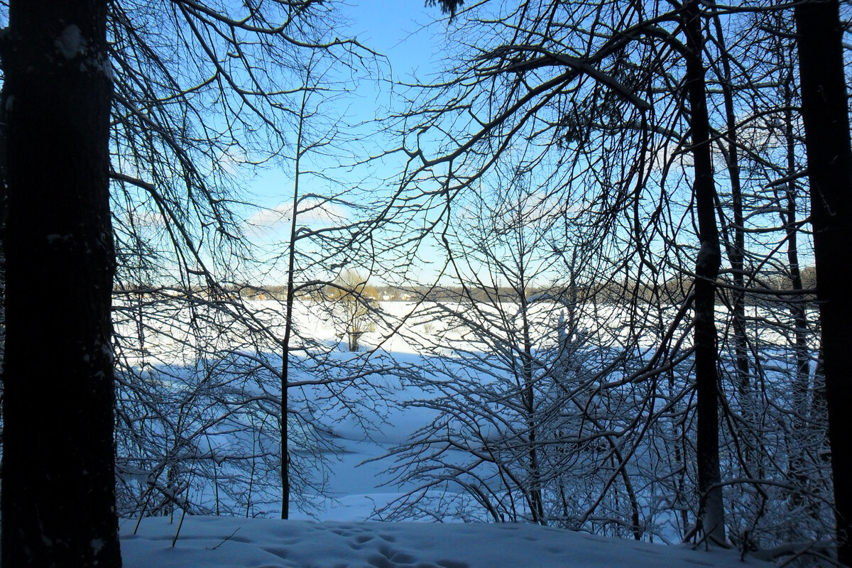 мороз и солнце день чудесный стихотворение. мороз и солнце день чудесный. мороз и солнце день чудесный пушкин слушать. стих пушкина мороз и солнце текст полностью. мороз и солнце день чудесн.