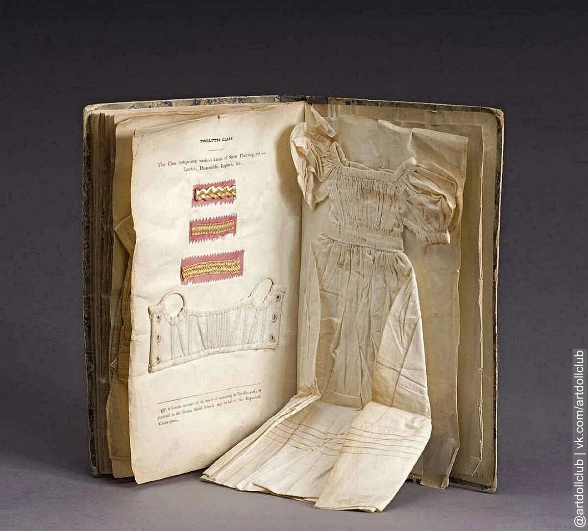 система органов дыхания функции. строение легких.