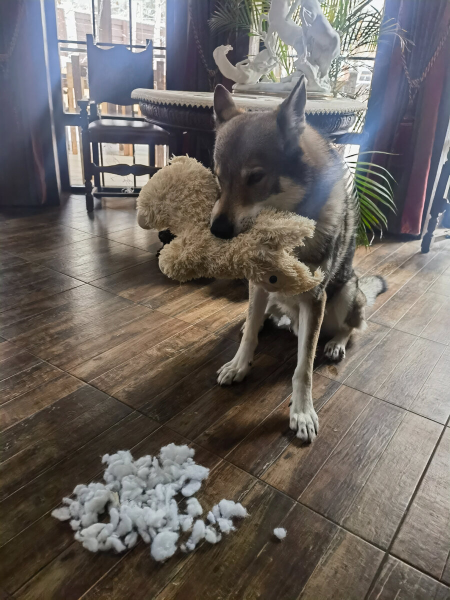 Гарри потрошитель 