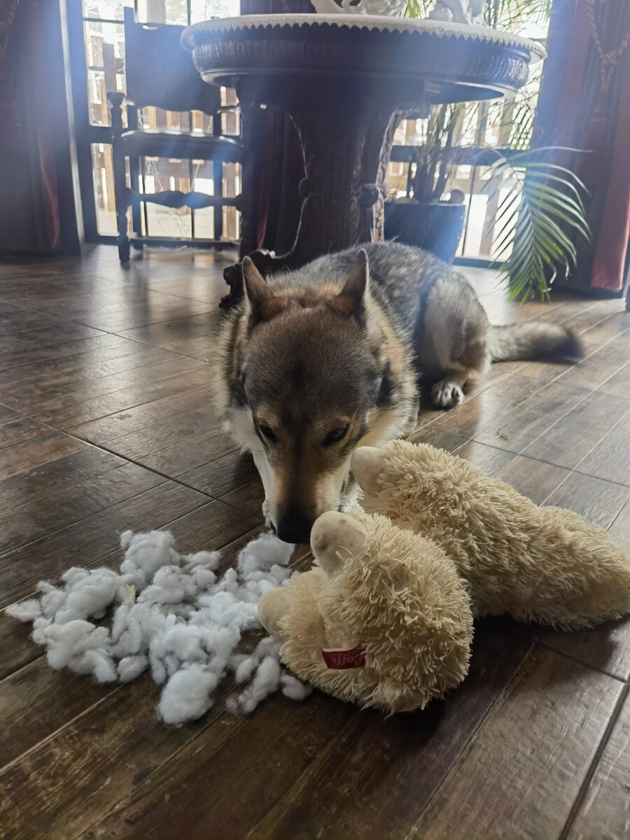 Просто кому-то нравится внутренний мир барана 