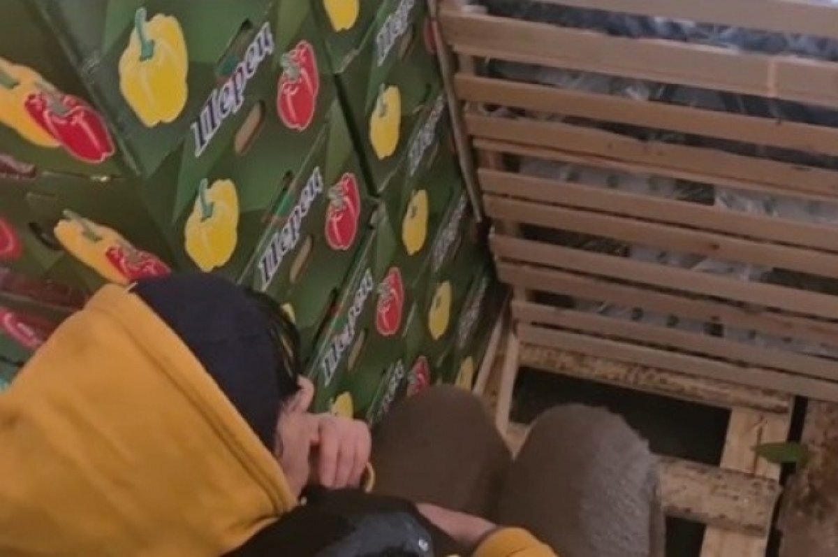    В Самаре мигранты убегали от полиции и прятались среди ящиков с фруктами