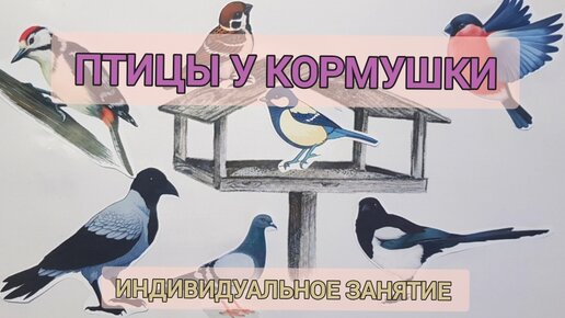 Птицы у кормушки