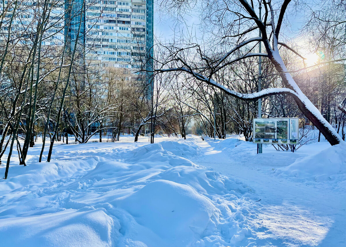 Солнце в 30 градусе