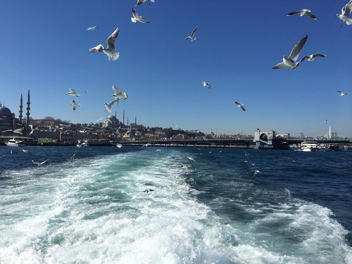 Фото автора 