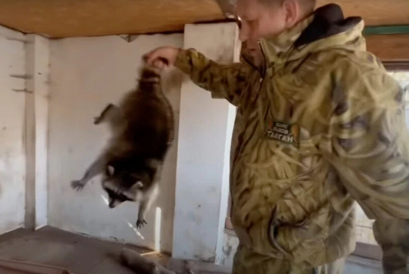 ФОТО: СКРИН С ВИДЕО КАНАЛА "ЧЕЛОВЕК-ЛЕВ" 
