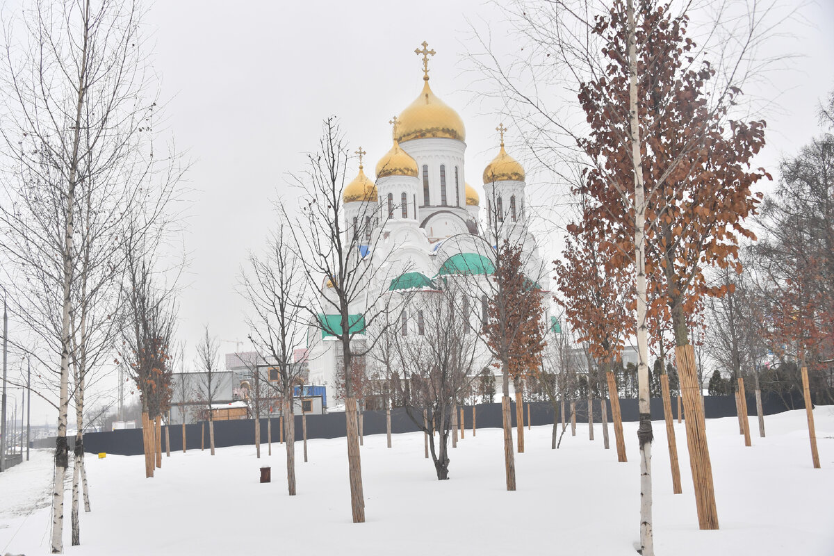 Народные приметы на 12 февраля 2024: Трёхсвятие, что можно и нельзя делать  в Васильев день | Вдумчивый сибиряк | Дзен