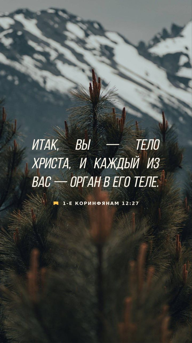 1-е Коринфянам 12:27