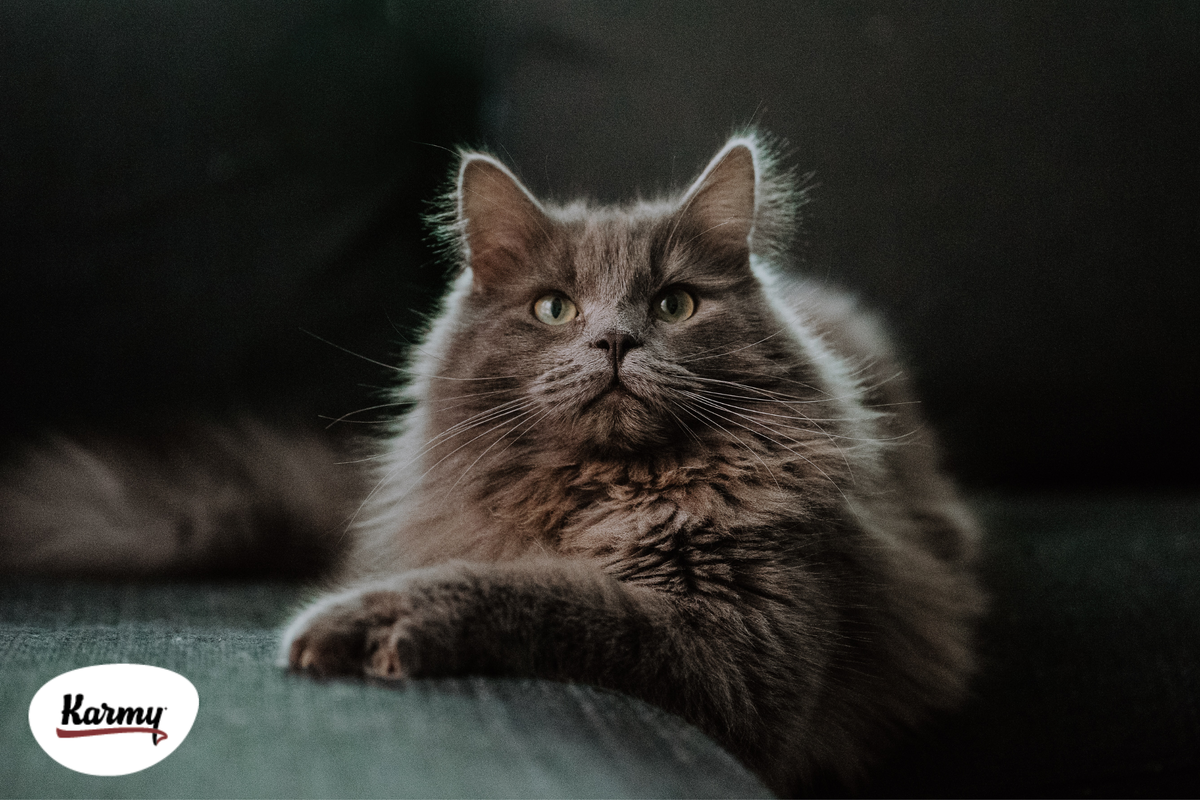 Авторское изображение с использованием картинки с фотостока "Unsplash" 