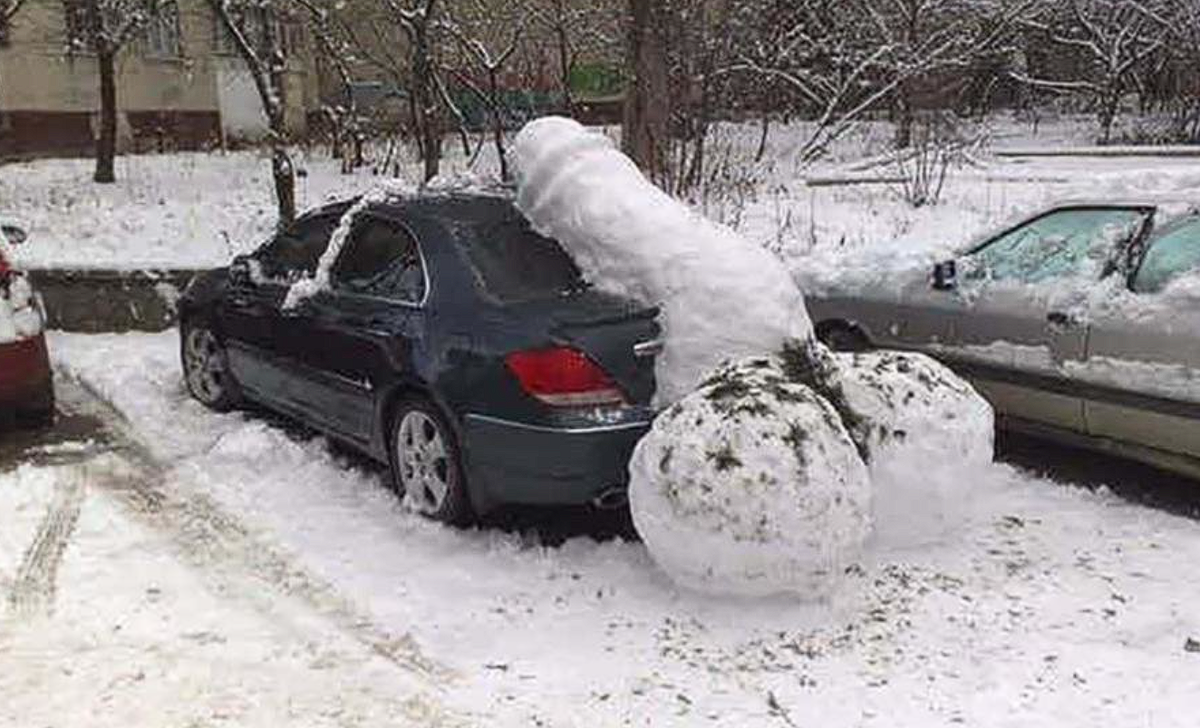 От благодарных соседей. Всякие совпадения являются случайными.