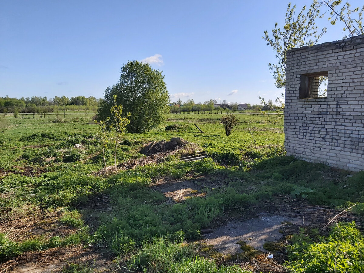 Ольгино (исторический район). Старая деревня ольгино. Старая деревня ольгино. Деревня ольгино ленинградская область. Старая деревня ольгино.